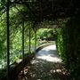 Clark Gardens Botanical Park