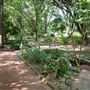 Clark Gardens Botanical Park