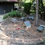 Clark Gardens Botanical Park