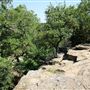 Lake Mineral Wells State Park