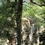 Lake Mineral Wells State Park