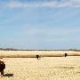 Miller Creek Ranch