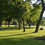 Clifton City Park