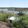 Buffalo Springs Lake