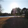 Walnut Creek Metropolitan Park