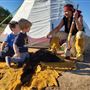 Dinosaur Valley RV Park