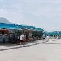 SeaWorld Adventure Park