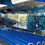 SeaWorld Adventure Park
