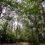Martin Dies, Jr. State Park