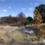 Hidden Springs Ranch