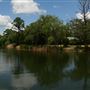 Lake Bastrop
