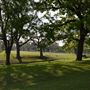 Clifton City Park