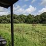 Rural Farm - Two House Property