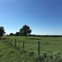 Bucking Beauty Farm