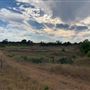 Rose Ranch