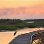Sea Rim Boardwalk