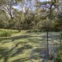 Wood Cabin at Chocolate Bayou Preserve