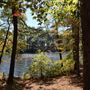 Synergy Park