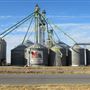 Top Tier Grain & Feed