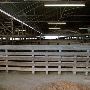 Navasota Livestock Auction