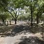 Oakwood Cemetery