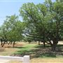 Miles City Park