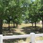 Miles City Park