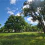 Blue Ranch