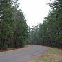 Lake Livingston State Park