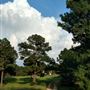 Scottsville Property