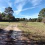 Scottsville Property