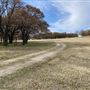 Fairlea Longhorn Ranch