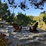 Sinya on Lone Man Creek
