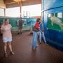 Sea Turtle Inc