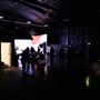 Stray Vista Studios