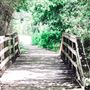Seabourne Creek Nature Park