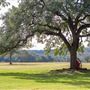 Wimberley Valley Vistas Ranch
