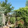 Clark Gardens Botanical Park