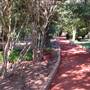 Clark Gardens Botanical Park
