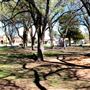 Veteran's Memorial Park