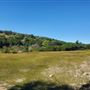 Kestrel Ranch