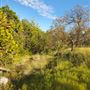 Kestrel Ranch