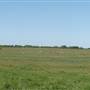 Alpha Omega Longhorn Ranch