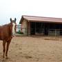 Two Wishes Ranch
