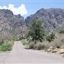 Big Bend National Park - Chisos Mountain Basin