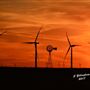 Borger Wind Farms