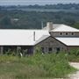 Red Wing Dove Winery