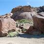 Horseback Riding Trails