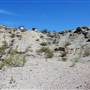 Horseback Riding Trails