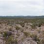 FM 169 to Casa Piedras